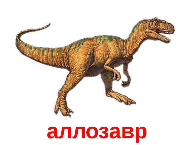 Открытки